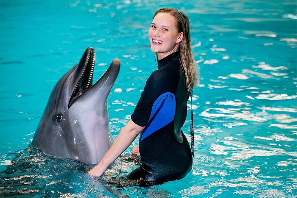 Swimming with Dolphins